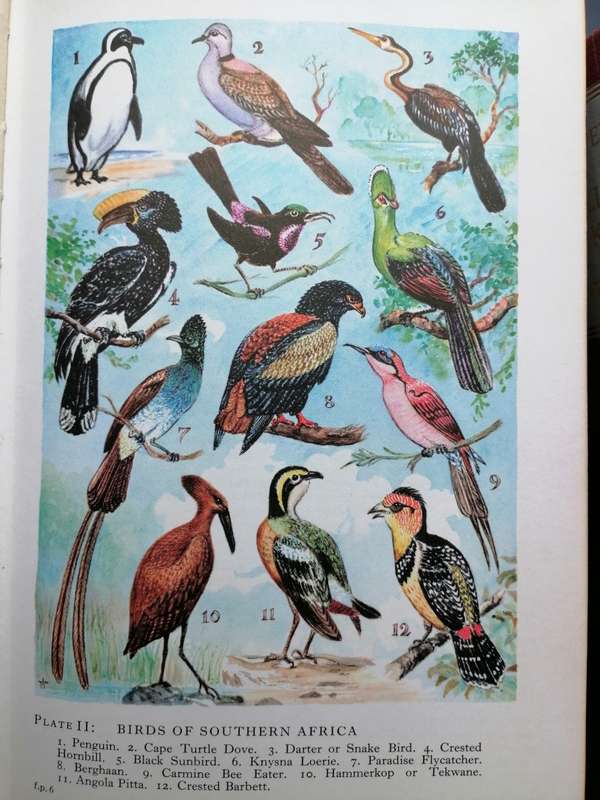 Ensiklopedie van Suidelike Afrika / Encyclopedia of Southern Africa