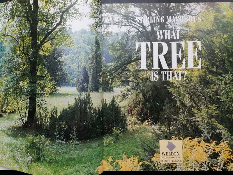What Tree is That? - 300 GENERA AND 900 SPECIES - Stirling Macoboy.