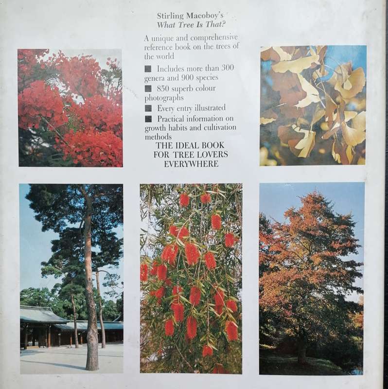 What Tree is That? - 300 GENERA AND 900 SPECIES - Stirling Macoboy.