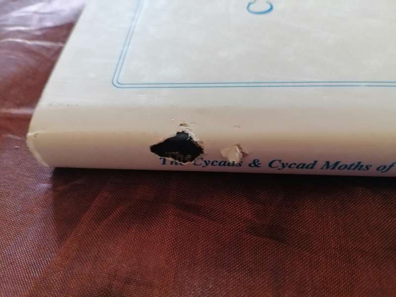 The Cycads & Cycad Moths of Kwazulu-Natal. Michael R. Cooper & Douglas Goode