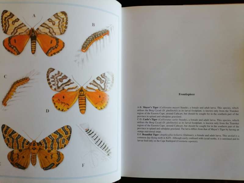 The Cycads & Cycad Moths of Kwazulu-Natal. Michael R. Cooper & Douglas Goode