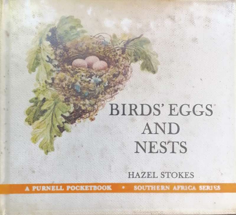 Birds Eggs and Nests