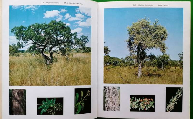 Bome van die Nasionale Krugerwildtuin. Vol 1 & 2. P. van Wyk