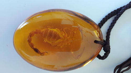 Amber Chinese Scorpion Pendant (2 of 2)