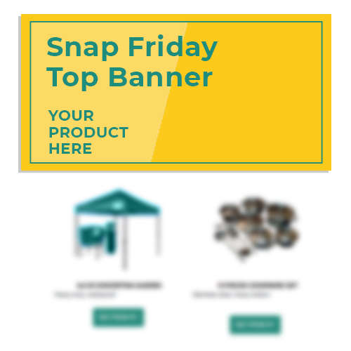 Snap Friday Banner
