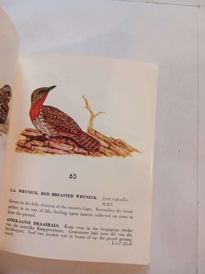 Some Protected Birds of the Cape Province, English/Afrikaans, 1957