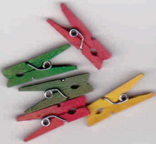 Wooden pegs 25mm in glass vial 6 pegs - peg colours vary in each vial