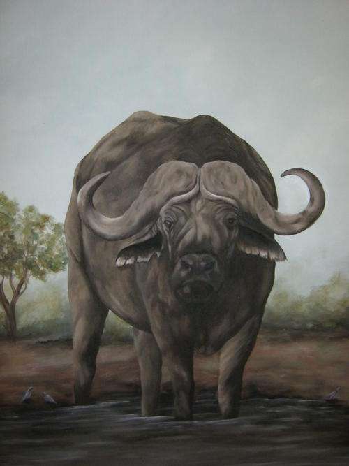 BUFFALO HAVEN  BY SALLY DELL