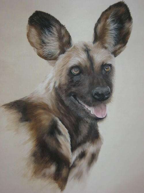 ENDANGERED WILD DOG  BY  SALLY DELL