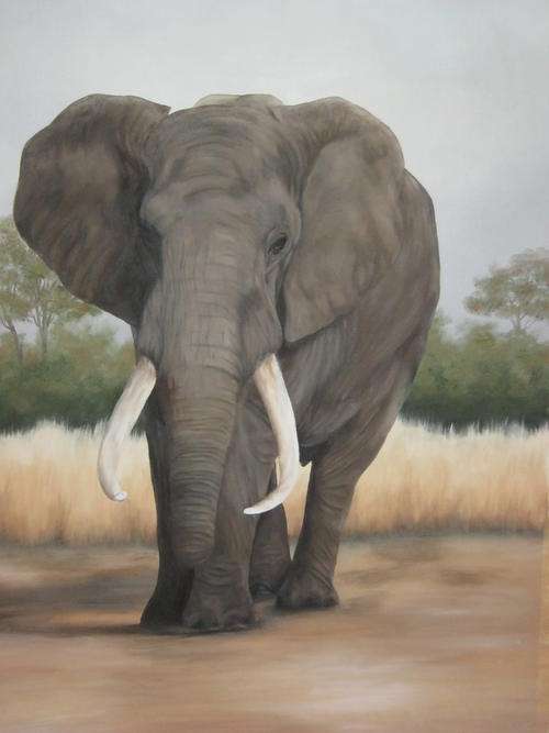 LONE ELEPHANT BULL  BY SALLY DELL