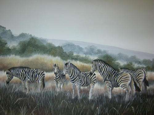 ZEBRAS IN THE VLEI  BY SALLY DELL