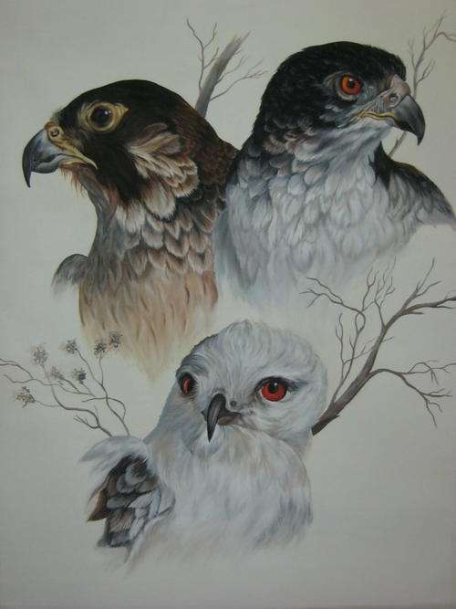 BIRDS OF PREY  BY SALLY DELL