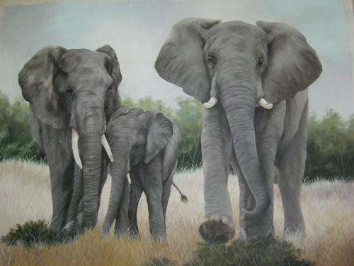 ELEPHANT FAMILY  BY SALLY DELL