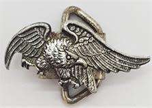 Unknown eagle buckle as per photo