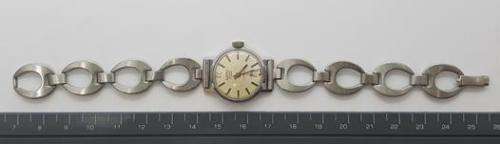 Camy ladies watch, working as per photo