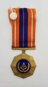 SADF Pro Patria Medal #150672 fixed type as per photo