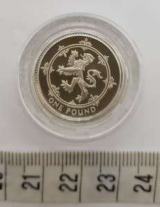 1994 United Kingdom Silver Proof One Pound Coin as per photo