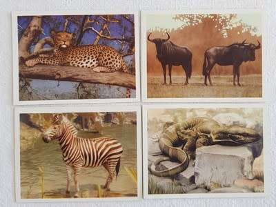 Large lot of Our South African National Parks cigarette cards - duplicates - as per photo