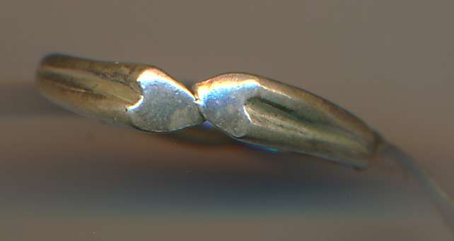 Silver ring as per scan PRICE REDUCED