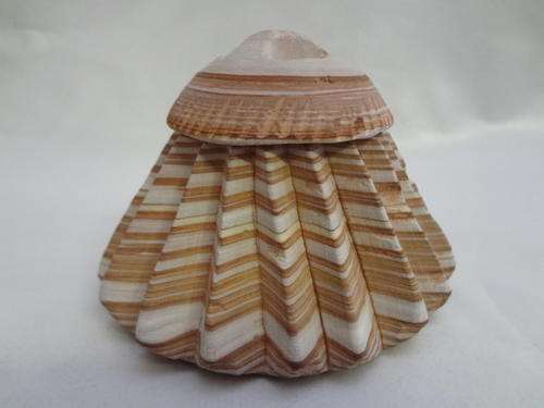 Kusi stone - trinket box with lid - @ CRAZY R1 start