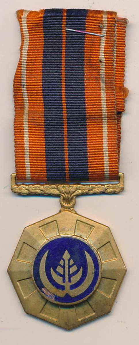 Pro Patria no: 123593 medal - as per scan