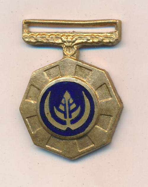 Pro Patria miniature medal - no ribbon - as per scan