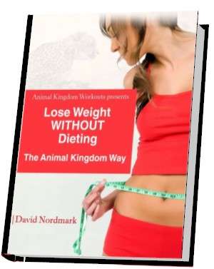 Lose Weight Without Dieting eBook
