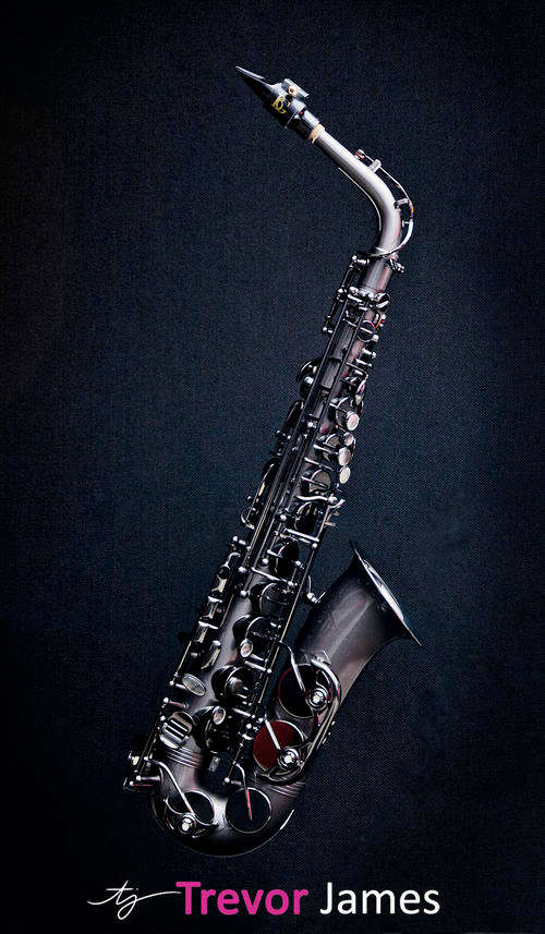 Alto Saxophone Trevor James Classic ii