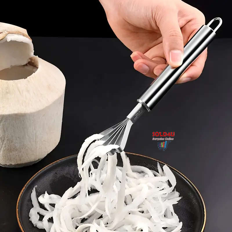 Coconut Grater, Fish Scaler Remover Multi-Purpose Stainless Steel Kitchen Tool