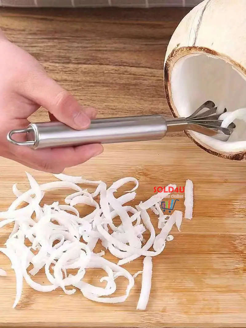 Coconut Grater, Fish Scaler Remover Multi-Purpose Stainless Steel Kitchen Tool