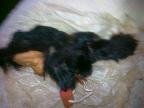 Cash in the attic? -jointed MOHAIR MONKEY