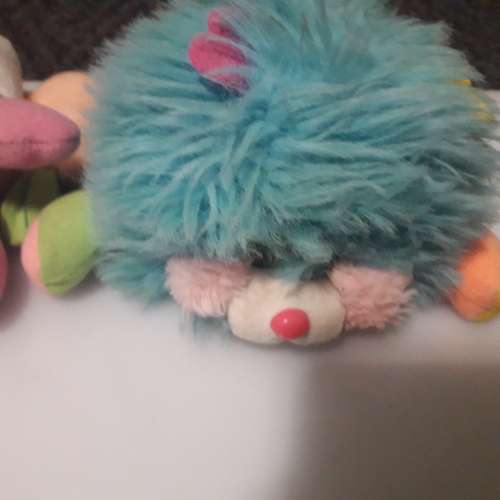 Popples
