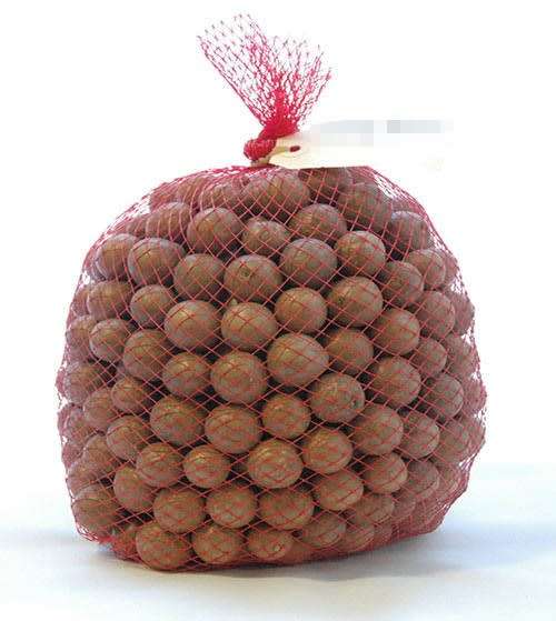 Fresh Raw Macadamia Nuts in-Shell (Fresh harvest,1kg per bid)