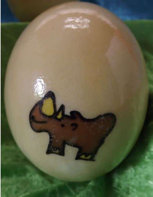 KIDS PAINTED OSTRICH EGGS -   from SUEZYT