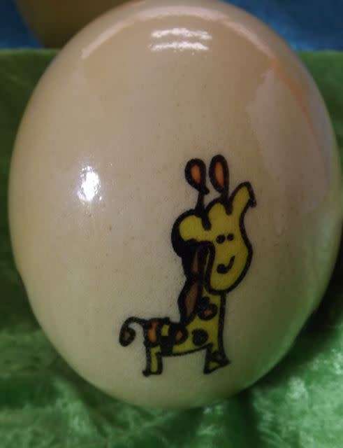 KIDS PAINTED OSTRICH EGGS -   from SUEZYT
