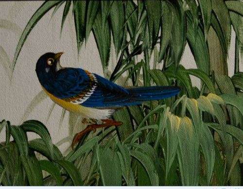 PRETTY BIRD IN A BAMBOO TREE - SIGNED R HALL - FRAMED - from SUEZYT