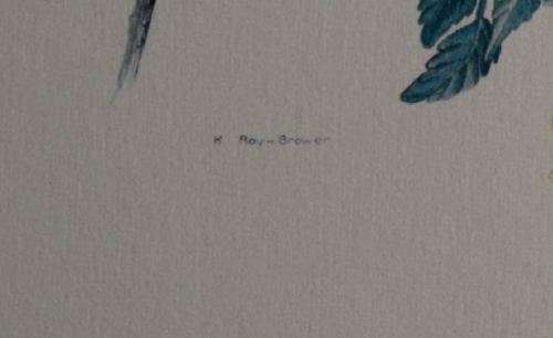 NICELY FRAMED SUNBIRD AND FLOWERS WATER COLOUR from SUEZYT