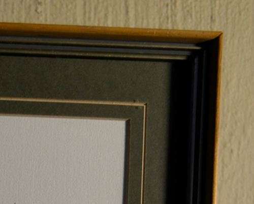 NICELY FRAMED SUNBIRD AND FLOWERS WATER COLOUR from SUEZYT