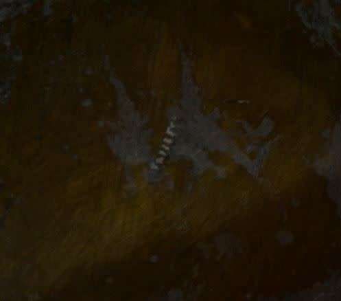 CHINESE BRASS VASE #2 - 1,7 KILOS- from SUEZYT