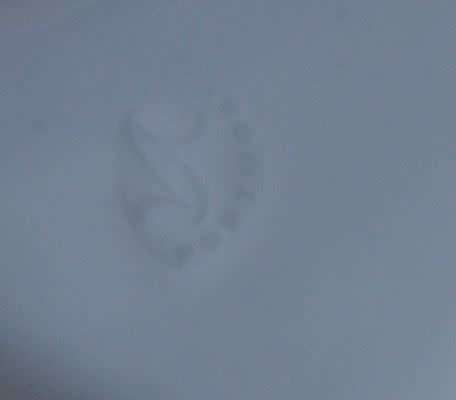 LARGE, STUNNING PORTUGUESE VISTA ALEGRE PHEASANT - VINTAGE - from SUEZYT