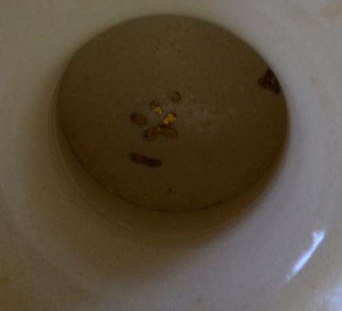 JAPANESE RED HEADED WOOD PIGEON SATSUMA (?) VASE - from SUEZYT