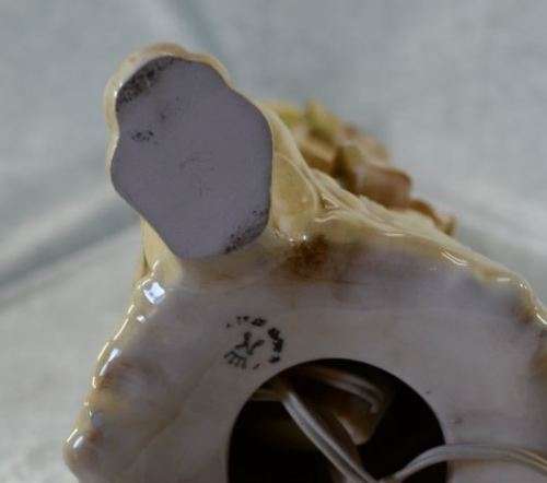 CAPODIMONTE LAMP - from SUEZYT