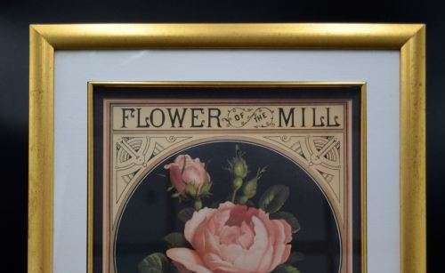NICELY FRAMED BOTANICAL PRINT - from SUEZYT