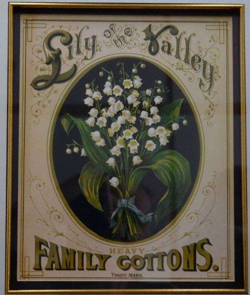NICELY FRAMED BOTANICAL PRINT  - LILY OF THE VALLEY - from SUEZYT