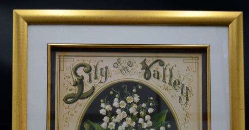 NICELY FRAMED BOTANICAL PRINT  - LILY OF THE VALLEY - from SUEZYT