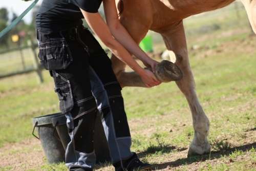 Badger Workwear Trousers