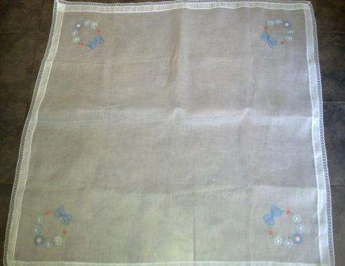 Vintage pale blue sheer food cover
