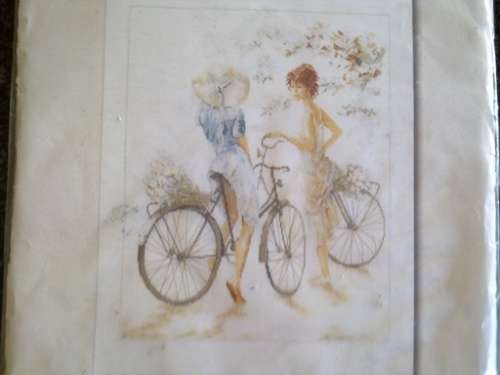 Embroidery kit - fabric, threads & instructions