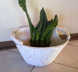 White woven basket with handles 18cm