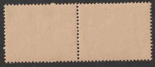 UNION  - 1930-45 Roto  PICTORIALS     2s 6d pair Blue and brown **MNH**